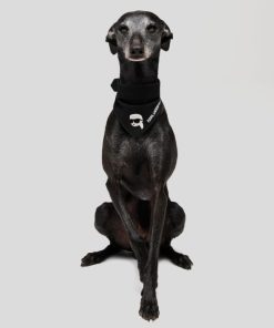 Meridianmoda.shop856083789a 2